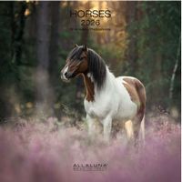 Horses 2026 Wall Calendar