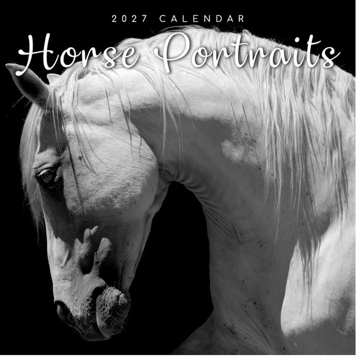 Horse Portraits 2027 Wall Calendar