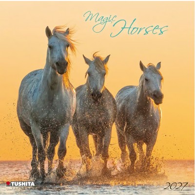 Magic Horses 2027 Calendar