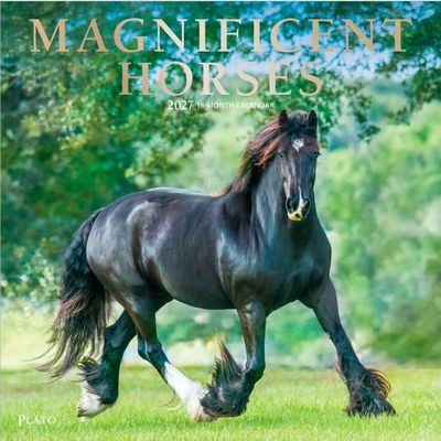 Magnificent Horses 2027 Wall Calendar