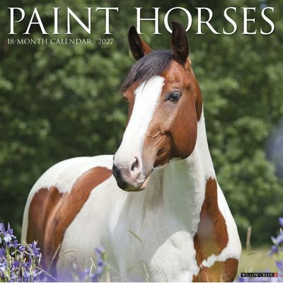 Paint Horses 2027 Calendar