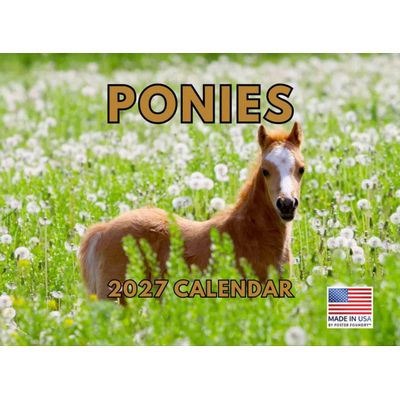 Ponies 2027 Calendar
