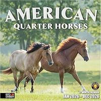 Quarter Horses 2026 Wall Calendar