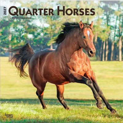 Quarter Horses 2027 Wall Calendar