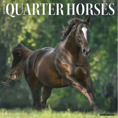 Quarter Horses 2027 Wall Calendar