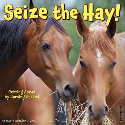 Seize The Hay 2027 Wall Calendar