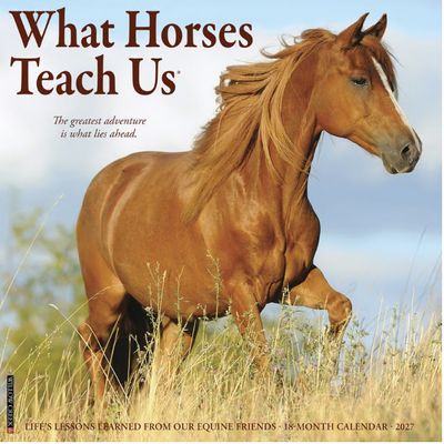 What Horses Teach Us 2027 Wall Calendar