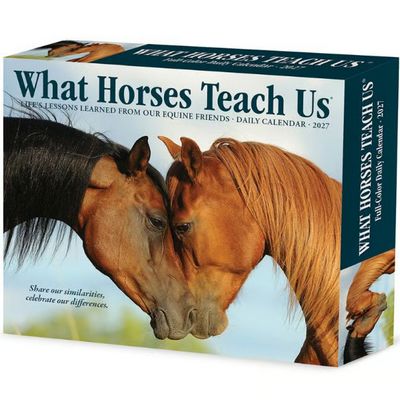 What Horses Teach Us 2027 Desk Calendar