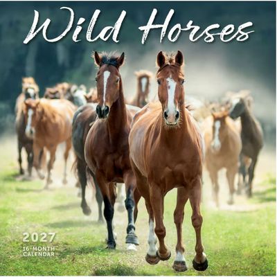 Wild Horses 2027 Wall Calendar