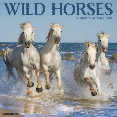 Horses 2027 Calendar