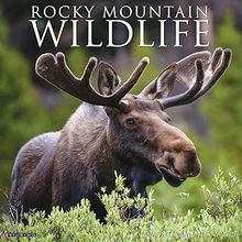 Rocky Mountain Wildlife 2026 Calendar