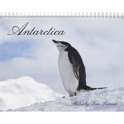 Antarctica Penguins Calendar