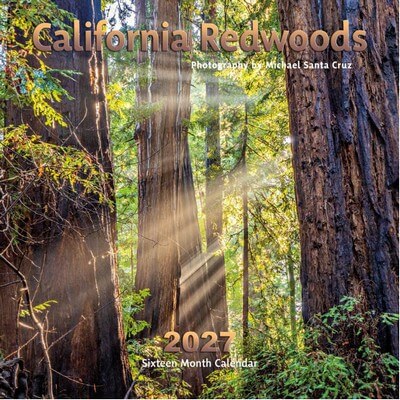 California Redwoods 2027 Wall Calendar
