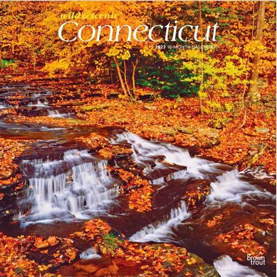 Connecticut Wild and Scenic 2027 Wall Calendar