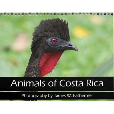 Animals of Costa Rica 2027 Wall Calendar