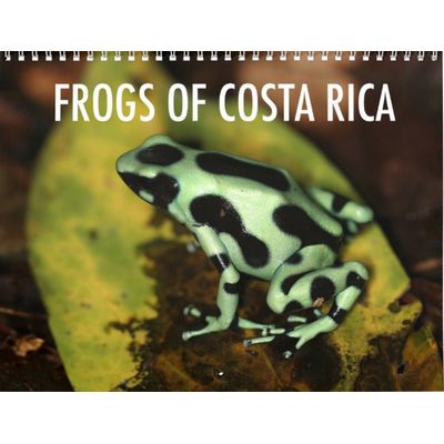 Frogs of Costa Rica 2027 Wall Calendar