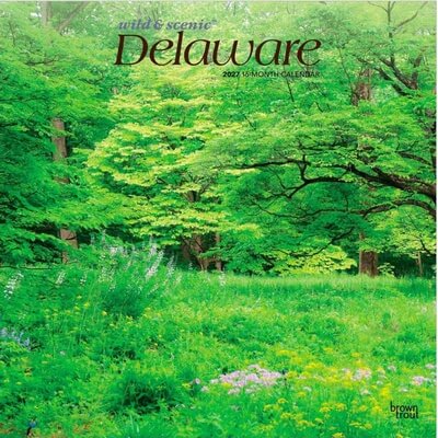 Delaware 2027 Wall Calendar