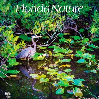 Florida Nature 2027 Wall Calendar