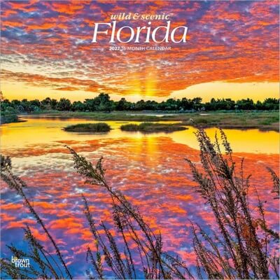 Florida Wild and Scenic 2027 Wall Calendar