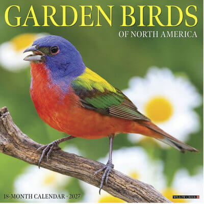 Garden Birds 2027 Wall Calendar