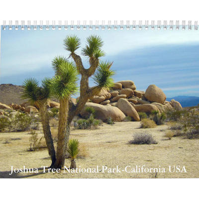 Joshua Tree National Park Calendar