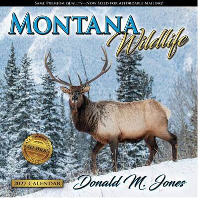 Montana Wildlife 2027 Wall Calendar