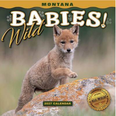 Montana Wild Babies 2027 Mini Wall Calendar