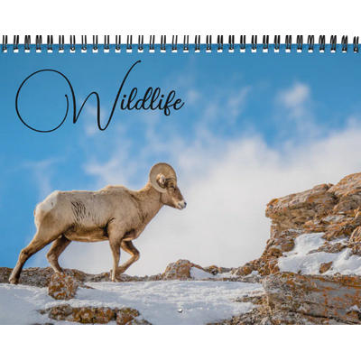 National Parks Wildlife Calendar