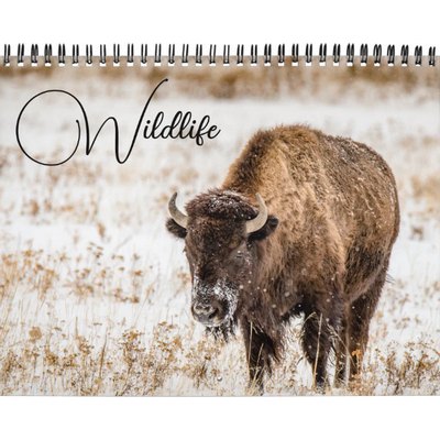 National Parks Wildlife Calendar