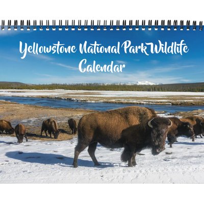 Yellowstone Calendar-Wildlife Calendar