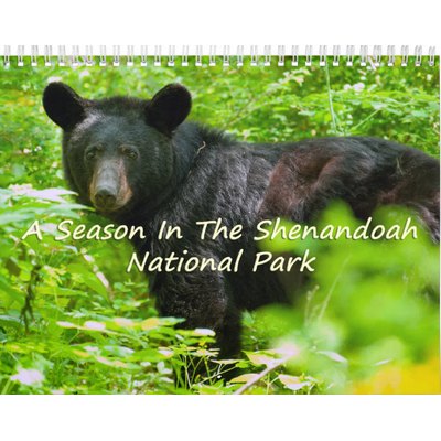 A Season In Shenandoah National Park Calendar