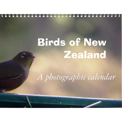 Birds of New Zealand 2027 Calendar