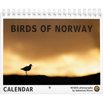 Birds of Norway 2027 Calendar