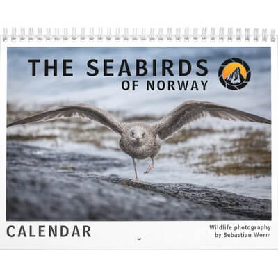 The Seabirds of Norway 2027 Calendar