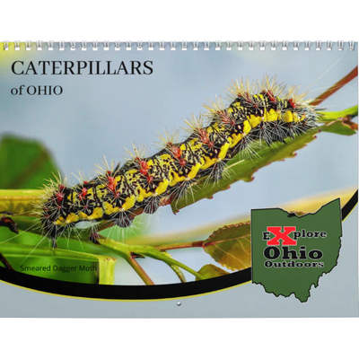 Caterpillars of Ohio 2027 Wall Calendar