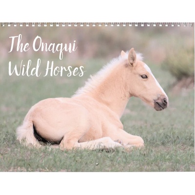 Onaqui Wild Horses 2027 Wall Calendar