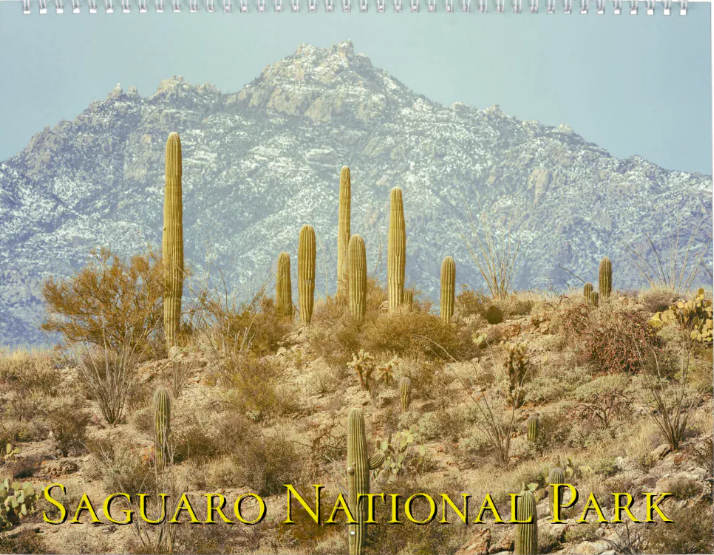 Saguaro National Park 2027 Wall Calendar