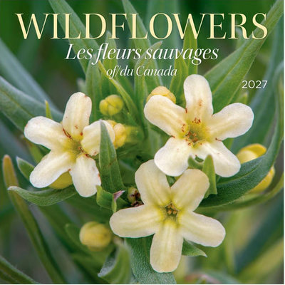 Wildflowers 2027 Wall Calendar