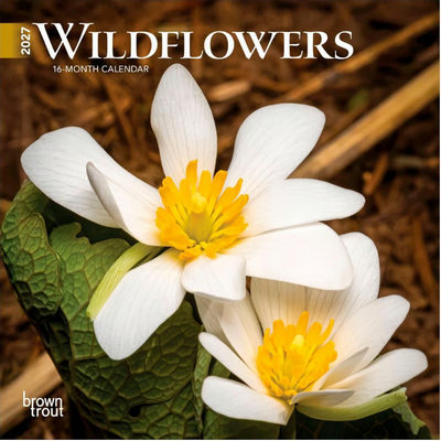 Wildflowers 2027 Wall Calendar