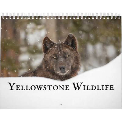 Yellowstone Wildlife Calendar