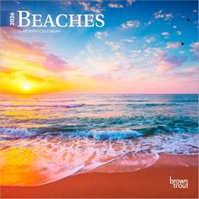 Beaches 2026 Wall Calendar
