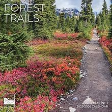 Forest Trails 2026 Wall Calendar