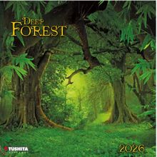Deep Forest 2026 Wall Calendar