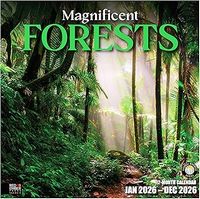 Magnificent Forest 2026 Wall Calendar