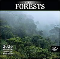 Forests 2026 Wall Calendar