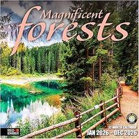Magnificent Forests 2026 Wall Calendar