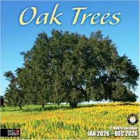 Oak Trees 2026 Wall Calendar