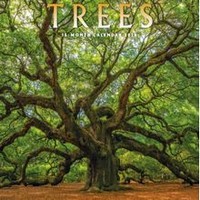 Trees 2026 Wall Calendar