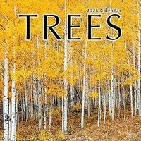 Trees 2026 Wall Calendar