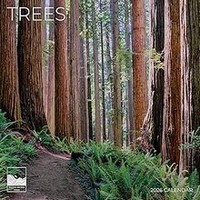 Trees 2026 Wall Calendar